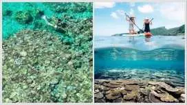 [Departing from Onna Village, Okinawa] "Snorkeling Cruise to Two Spectacular Spots + Mysterious Blue Eyes and Coral Colonies" Drone & Underwater Photography Free ★ SUP and Diving Board Free ♪