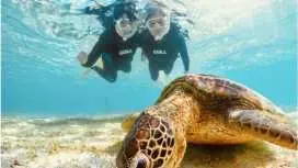 宮古島【春休み・GW先取り】★当日予約OK!写真無料!手ぶらで参加!《学生・ファミリー大歓迎》ウミガメシュノーケル