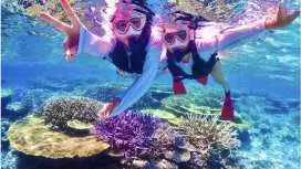 [미야코지마] 이케마 섬 출발, 야비지 방파제까지 가는 최단 경로! 드론 촬영과 사진 데이터에 자신 있습니다! 일본 최대 규모의 산호초 중 하나인 야비지 반나절 스노클링 투어 (소규모 그룹)