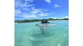 [Okinawa/Miyako Island] An absolute bargain! 180 minutes of unlimited fun at a secluded beach! Unlimited use of SUP/clear kayaks/snorkels/fishing rods and more!