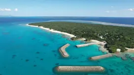 【沖縄・新城島】Panariで1日ゆんたく島内散策ツアー 石垣島発