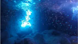 【沖繩,宮古島】藍洞和比吉亞斯!搭船浮潛課程