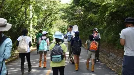 【沖繩,久米島】漫步於人與自然和諧共生的森林! “漫步拉姆薩爾濕地”