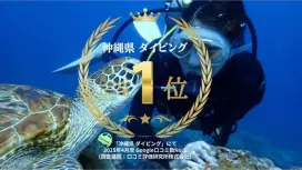 2025年4月度Google口コミ数「沖縄ダイビング」第1位!那覇発・半日・慶良間諸島・海ガメに逢える!?カメラレンタル付!体験ダイビング