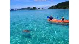 【冲绳,座间味】皮划艇和浮潜!半日无人岛之旅