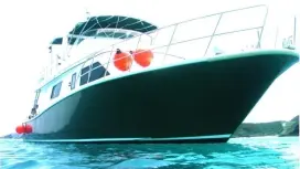 [Okinawa Prefecture, Kerama Islands] Free boarding on the final day in the Kerama Islands! PADI Open Water Course *Whale watching included from January to March