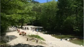 [Tochigi Prefecture, Nikko City] Beginners welcome! Stream fishing! Recommended for families, women, and couples!