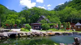 栃木県日光市【渓流釣り3時間】 緑の香りと透き通る清流を満喫! ※釣りたてのお魚を炭火焼きにできます