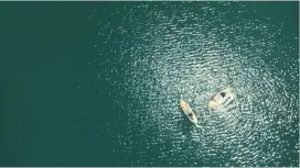 [Okutama SUP debut] [Dogs allowed] Take a stroll on the water on a beautiful lake with a gentle current. A two-hour rental plan that is safe for beginners