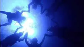 【大阪発】初心者歓迎!体験ダイビング(2ダイブ)