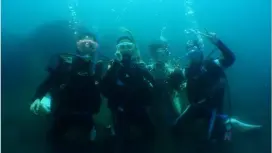 【湯河原・真鶴・小田原】浅場で練習した後に、海を満喫!【安心1日体験ダイビング】