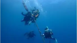 【湯河原・真鶴・小田原】はじめて大歓迎!体験ダイビング【半日コース】