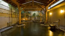 【山梨県・石和温泉郷】石和温泉郷自家源泉「完熟の湯」かけ流し立寄り湯90分!15:00~19:00の部(オリジナル刺繍タオル付き)