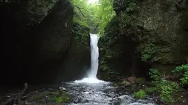 【长野县,轻井泽】顺道游览轻井泽两大著名瀑布-白丝瀑布和龙返瀑布!信浓路下山健行(约3小时)