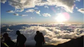 [Yamanashi, Fujiyoshida] Complete tour including climbing Mt. Fuji and touring the crater! (Sign language available)