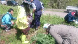 [石川县/金泽县] 了解食物与大自然之间的关联!用熟悉的野生植物制作午餐