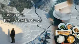 Tour bằng taxi hạng sang khám phá ẩm thực và câu chuyện vùng tuyết | GI Koshihikari "Motenashi Gotsuo" và văn hóa đền chùa (Thuê riêng xe Alphard / Khởi hành từ Urasa và Echigo Yuzawa) (Minamiuonuma, Niigata)