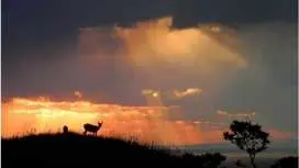 ☆World Natural Heritage Site - Shiretoko Five Lakes Mini Loop: Explore Lakes 1 and 2☆彡Family-friendly (1.6km, 105-minute course)