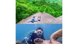 【鹿児島・屋久島】白谷雲水峡トレッキング(太鼓岩コース)&体験ダイビング(ショート)体力・旅程に合わせて日程変更可能(1日または2日)