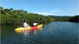 【沖縄・石垣島】マングローブのカヤック探検☆1時間お気軽コース!
