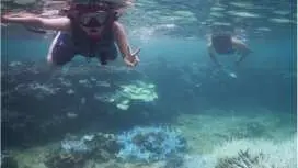 【沖縄・宮古島】初心者もOK。SUPしながらポイントへGO![SUPツアー&シュノーケリング]