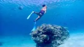 初学者私人课程 - 自由潜水课程【免费拍照录影☆包含喂食体验】名护、北部、本部、山原