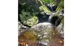 【東京・八丈島】5月~10月 ポットホール(体験型)
