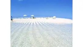 1日限定貸切り(5名迄)赤崎珊瑚の森シュノーケリング&百合ヶ浜シュノーケリング