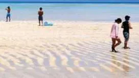 【鹿児島・与論島】百合ヶ浜&ウミガメツアー(竜宮城巡り)ウオッチング 与論島観光大使でもあるインストラクターがご案内!