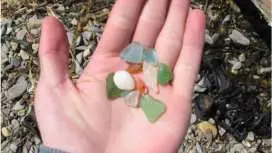 【北海道,石漾】歡迎初學者!海灘拾貝藝術體驗