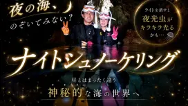 7月、8月、9月限定新ツアー☆ライトアップ神秘的ナイトシュノーケリング☆☆【沖縄・恩納村】夜の海で大感動!一生の思い出になります♡