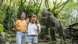 [Okinawa, Nago] Okashi Goten Nago store "DINO Dinosaur Park Yanbaru Subtropical Forest" admission ticket ♪
