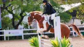 Zhuhai, China | Hengqin Fil Equestrian Club | Equestrian Experience | English Riding | One-on-One Lessons