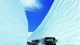 立山黑部阿爾卑斯山脈一日遊:漫步於壯麗雪牆環繞的“雪谷”,感受令人嘆為觀止的雪景! 【新宿出發】
