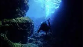 ☆Opening in February! First-come, first-served special discount available!☆ Okinawa Blue Cave ☆FUN Diving Tour☆ All optional fees included