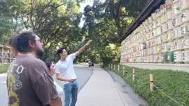 【東京原宿】明治神宮之旅!遠離都市喧囂,享受在自然環繞中悠閒漫步的樂趣! (距離原宿站步行1分鐘)