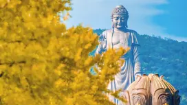 【中國】靈山大佛門票