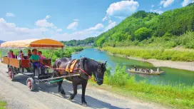 京都龜岡京馬車觀光體驗|前往保津川遊船碼頭悠閒馬車之旅