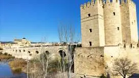 Cordoba and the Mosque Day trip from Seville | Spain