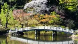 Tokyo: Day Tour with Cruise, Tower, Senso-ji & Tea Ceremony