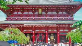 Tokyo Half-Day Tour: Shinjuku Gyoen, Tokyo Tower & Senso-ji