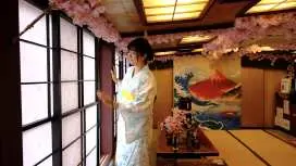 Tokyo Day Tour: Sakura Cruise,Sushi & Unlimited Soft Drinks, Senso-ji,Tsukiji