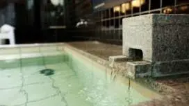 [Hiroshima/Onomichi - 30-minute cruise] An adventure cruise to enjoy thrills and saunas.