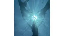 [Okinawa, Motobu] ★Exciting and thrilling Sesoko Island experience diving!! Safe even for first-timers, enjoy the Okinawan sea with an instructor.