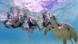 【沖縄・宮古島】学割!学生限定プランでお得に最高の思い出を「ウミガメシュノーケルフォトツアー」遭遇率100%継続中(当日予約・雨OK)