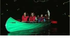 [A Scenic Story from Shinano-Omachi at the Foot of the Northern Alps] Aoki Lake Firefly Viewing Cruise with English, Chinese, and Spanish Guides