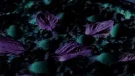 Twinkle Pool Bar at Cape Dara Resort (Pattaya) | Chonburi