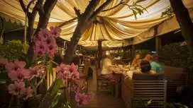 アーニャズ・プレイス | ประเทศไทย