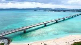 沖縄北部を日帰りツアー| 美しい美ら海水族館で3時間、古宇利島、万座毛を巡ります | 沖縄名物の豚軟骨鰹節そば付き (中国語ガイド)