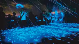 Magical Blue Light Awaji Island Sea Firefly Watching Tour